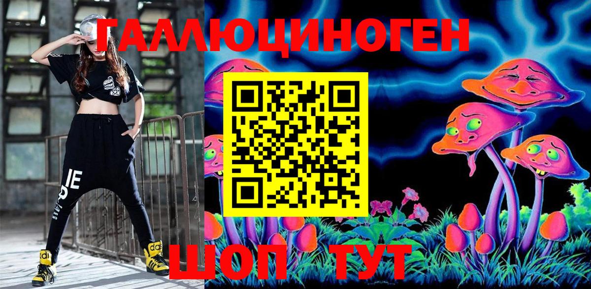 Галлюциногенные грибы Magic Shrooms  Псилоцибиновые грибы Cubensis  купить наркотики цена  Канаш  Вход с VPN 
