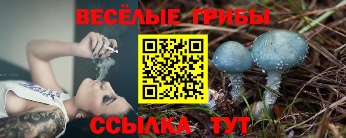Псилоцибиновые грибы ЛСД Канаш